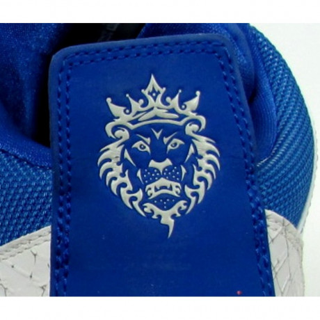 krosivki-velikii-rozmir-nike-lebron-49-495-rozmir-big-3