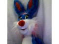 miaka-igraska-krolik-small-4