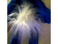 miaka-igraska-krolik-small-3