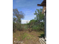 prodam-dacu-60-mkv-6-sot-ulstarocumackaia-do-stenovik-small-3