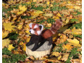krasnaia-panda-valianaia-igruska-valiana-igraska-cervona-panda-interjerna-small-2