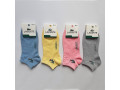 zanizeni-zinoci-ta-colovici-skarpetki-lacoste-small-1