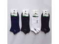 zanizeni-zinoci-ta-colovici-skarpetki-lacoste-small-0