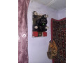 prodam-dacu-15-mkv-6-sotok-podgorodnoe-do-landys-ulkizilova-small-2