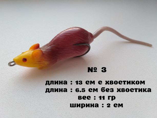 myska-nezacepliaika-3-big-0