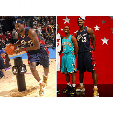 krosivki-kolekciini-lebron-4-all-star-metallic-gold-50-51-rozmir-big-4