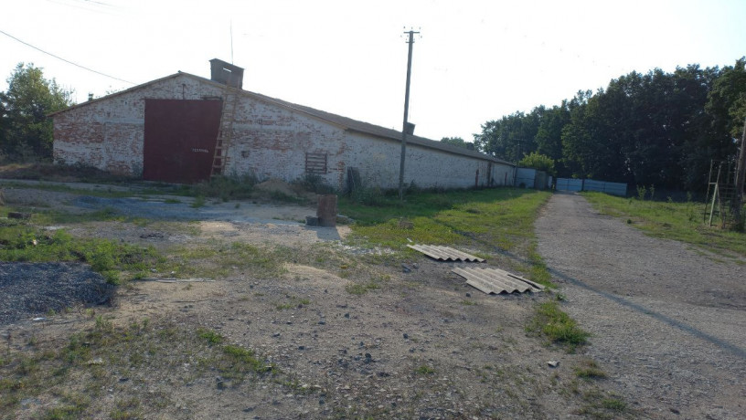 prodajetsia-diiucii-elevatornii-kompleks-z-zaliznicnoiu-gilkoiu-big-7