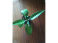 kalanxoe-degremona-small-1