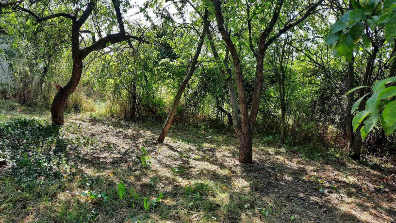klavdijevo-dilianka-35-sotokxatka-big-5