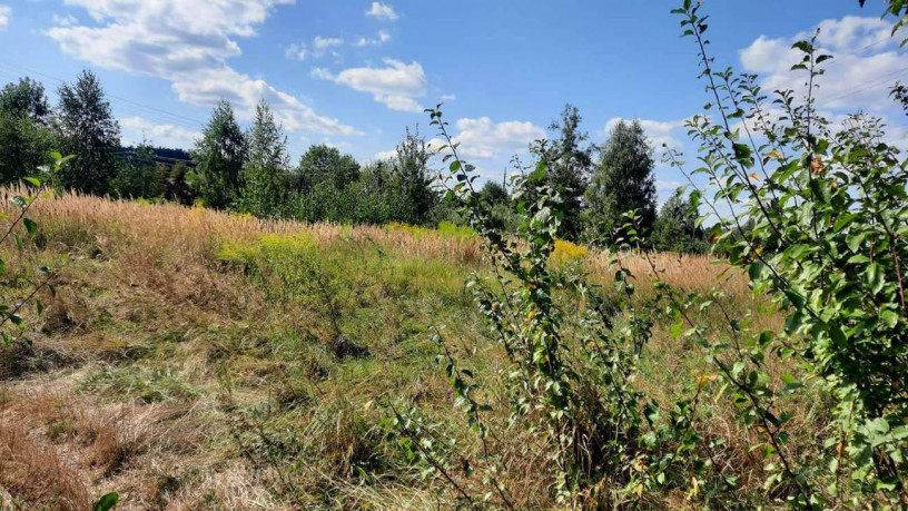 klavdijevo-dilianka-35-sotokxatka-big-4