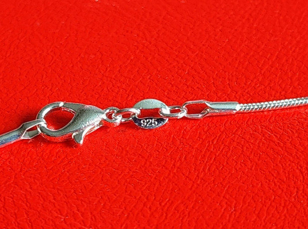 serebrianaia-cepocka-snake-57-sm-big-1