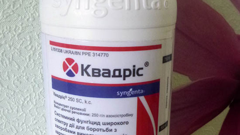 kvadris-fungicid-dlia-sada-i-ogoroda-big-0