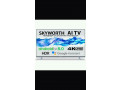 televizor-skyworth-55-small-6