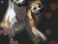 srocno-cistokrovnye-shhenki-amstaff-nedorogo-small-0