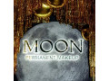 moon-studiia-permanentnogo-makiiazu-small-0