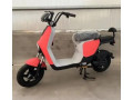 elektroskuter-baik-s-pedaliami-rarog-r001-450w-small-0