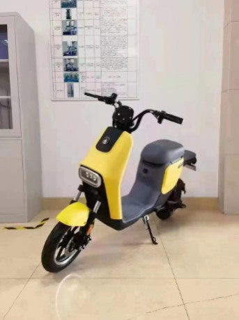 elektroskuter-baik-s-pedaliami-rarog-r001-450w-big-4