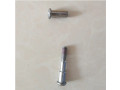 os-bolt-uzla-skladyvaniia-elektrosamokata-xiaomi-m365-small-2