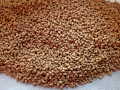 korm-dlia-kacok-kurei-ta-broileriv-start-grover-small-0