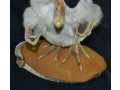 volpertinger-wolpertinger-small-1