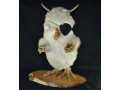 volpertinger-wolpertinger-small-0