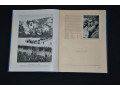 albom-olimpiada-1936-goda-v-germanii-1-tom-small-6