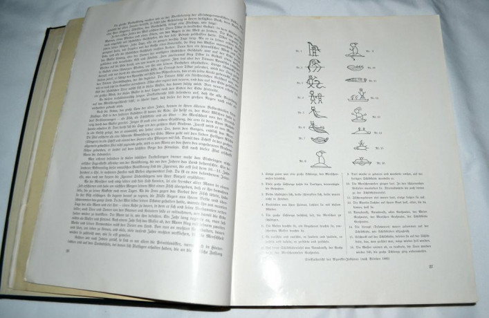kniga-katastrofy-stixiinyx-bedstvii-i-celoveceskie-sudby-1936god-big-2