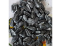 nasinnia-soniasnika-bomond-pid-gerbicid-granstar-7-ras-vovcka-standart-small-2