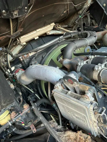 reno-magnum-480-2002g-big-4