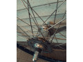 koleso-zadnee-28-diuimov-alx2-na-vtulke-velosteel-spica-nerzaveika-small-5