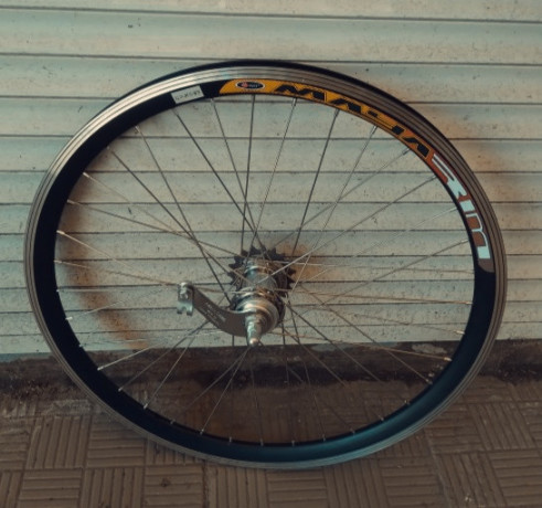koleso-zadnee-28-diuimov-alx2-na-vtulke-velosteel-spica-nerzaveika-big-1