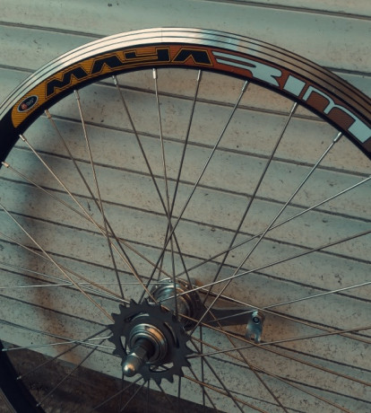 koleso-zadnee-28-diuimov-alx2-na-vtulke-velosteel-spica-nerzaveika-big-3