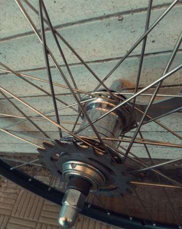 koleso-zadnee-28-diuimov-alx2-na-vtulke-velosteel-spica-nerzaveika-big-5