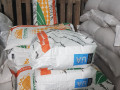 kukurudza-kremin-200-sv-fao-210-urozai-2024-small-0