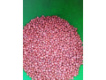 nasinnia-zernovogo-sorgo-zuni-65-80-dniv-small-0