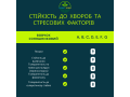 nasinnia-gibridu-soniasnika-feniks-or7-vid-ukrayinskoyi-selekciyi-nk-gran-small-1