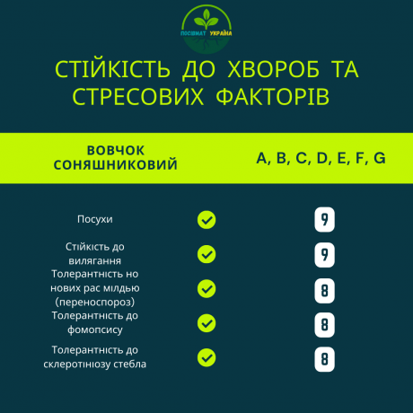 nasinnia-gibridu-soniasnika-feniks-or7-vid-ukrayinskoyi-selekciyi-nk-gran-big-1