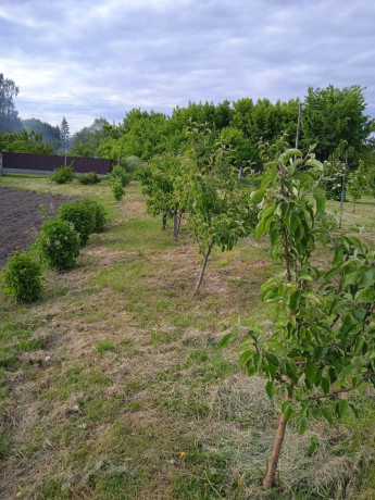 prodam-zemelnu-dilianku-30-sotok-s-antipivka-big-4