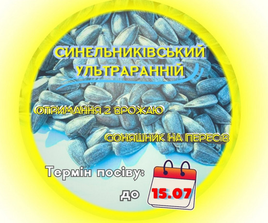 soniasnik-sortovii-sinelnikivskii-ultrarannii-sur-75-80-dniv-standart-big-0