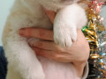 xlopcik-v-dobri-ruki-small-0
