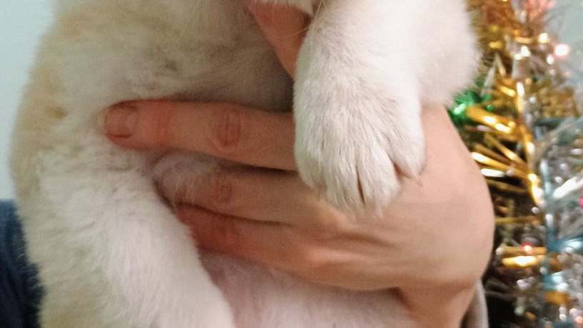 xlopcik-v-dobri-ruki-big-0