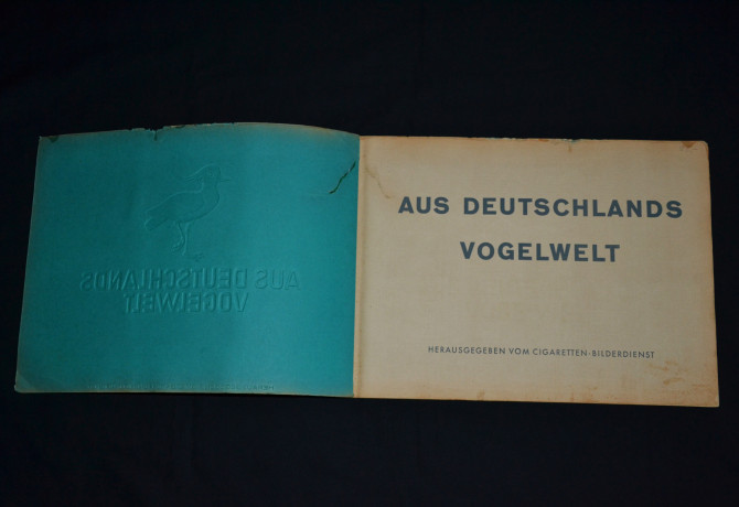 bolsoi-albom-iz-pticego-mira-germanii1932-god-big-3
