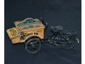 nastolnyi-velosiped-dlia-specii-small-6