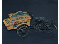 nastolnyi-velosiped-dlia-specii-small-5