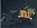 nastolnyi-velosiped-dlia-specii-small-2