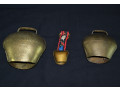 lot-kolokolcikov-botalo-small-1