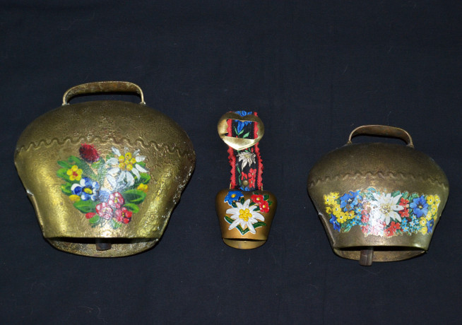 lot-kolokolcikov-botalo-big-0