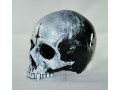 cerep-vudu-small-1
