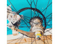 velo-koleso-race-zadnee-na-planetarnoi-vtulke-na-3-skorostei-komplekt-small-4