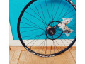 velo-koleso-race-zadnee-na-planetarnoi-vtulke-na-3-skorostei-komplekt-small-1